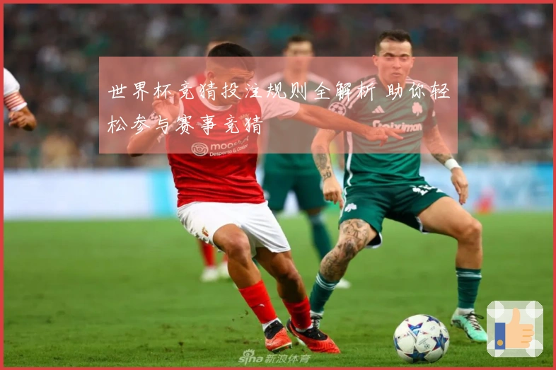 世界杯竞猜投注规则全解析 助你轻松参与赛事竞猜
