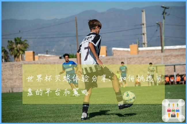 世界杯买球体验分享:如何挑选可靠的平台和策略