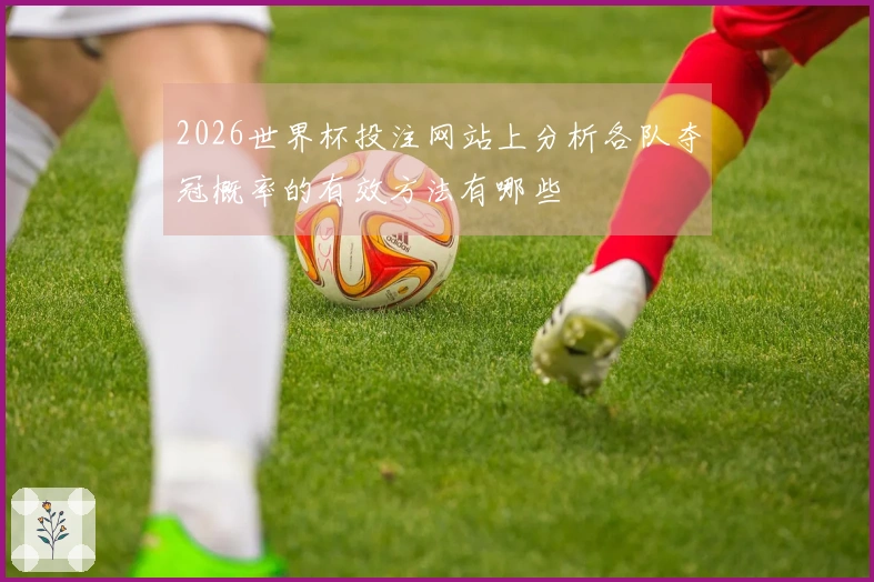 2026世界杯投注网站上分析各队夺冠概率的有效方法有哪些
